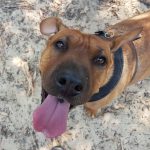 Tilly Sharp at Fursentials