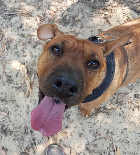 Tilly Sharp at Fursentials